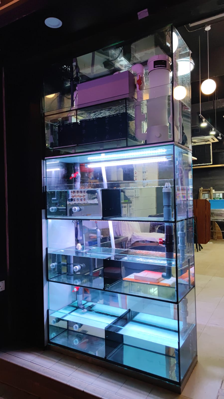 銅鑼灣日式料理店入口觀賞海水缸工程案例