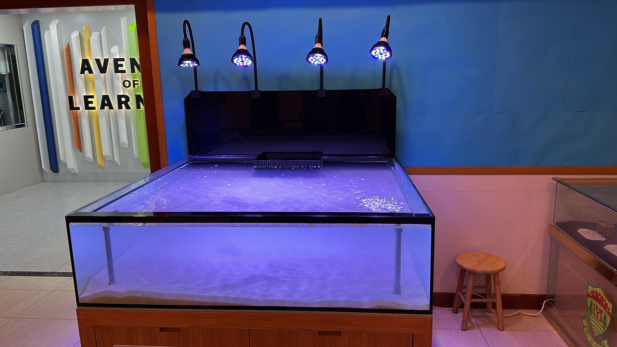 寫字樓大堂大型魚缸工程