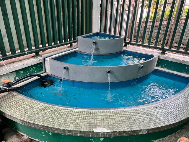 大型魚池工程及戶外水景