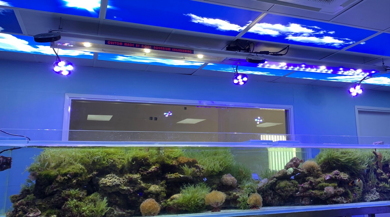 大型魚缸工程 - 商場酒店大型水族工程展示