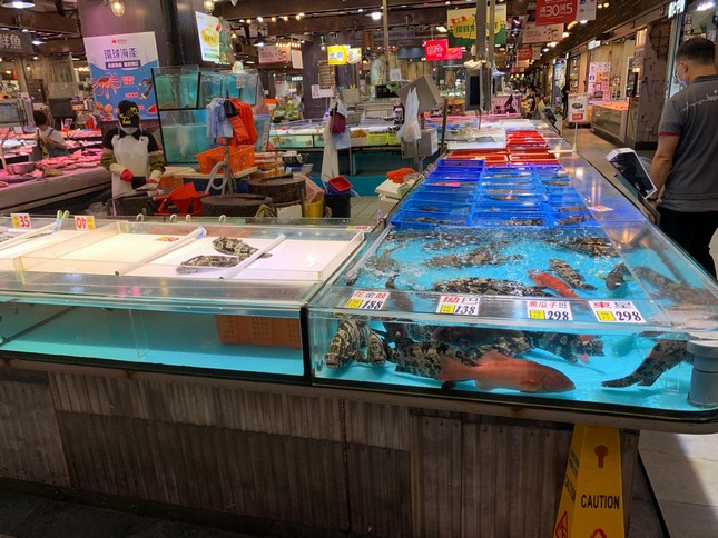 中型街市魚缸 — 3-5 層街市海鮮缸，最受街市海鮮檔歡迎