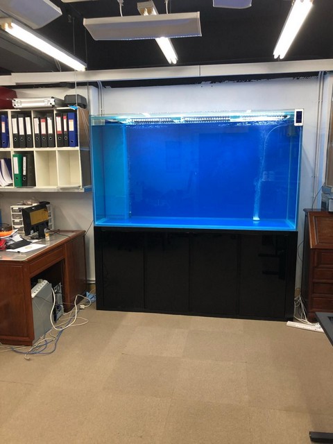 寫字樓大堂大型觀賞魚缸 — 落地式嵌牆式雙面透視柱形缸體