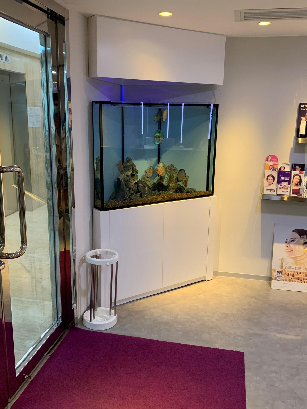 接待處魚缸方案 — 超白玻璃水草珊瑚造景辦公室展示缸訂造