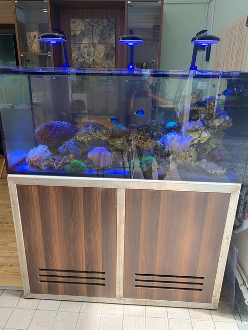 尖沙咀診所等候區嵌牆魚缸工程案例