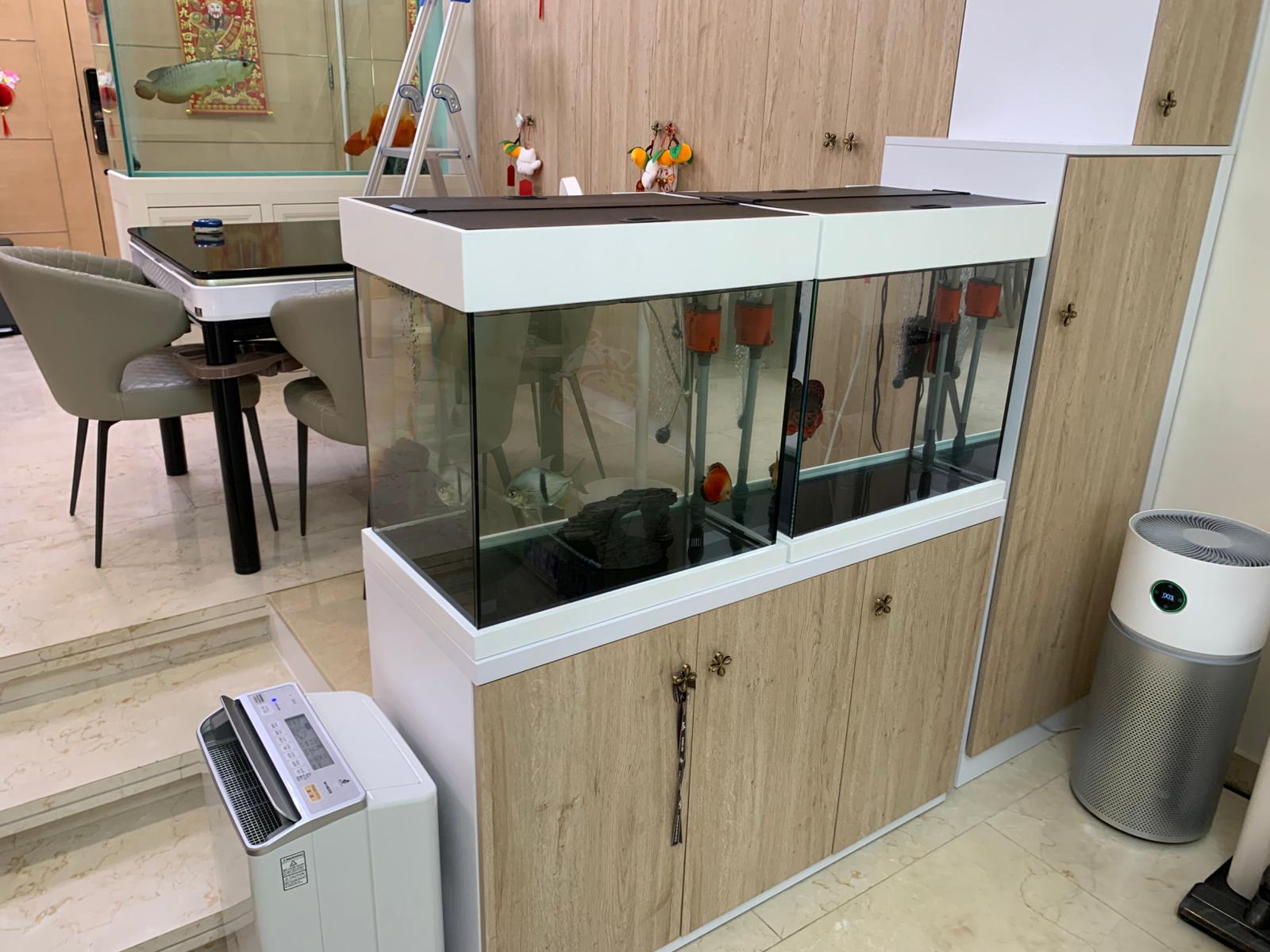 將軍澳玄關風水家居魚缸設計案例