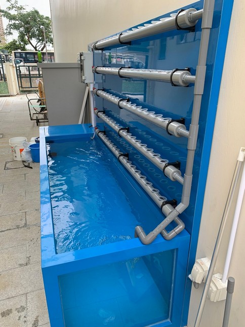 食肆魚缸食環署衛生標準 — 封閉式循環過濾消毒系統安裝