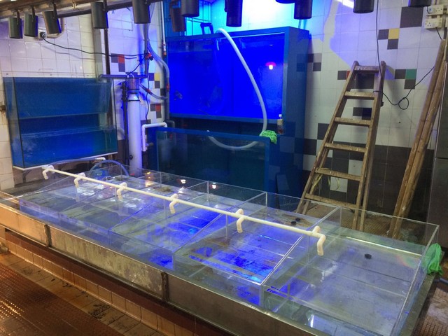 街市海鮮缸 — 街市檔口多層海鮮魚缸工程