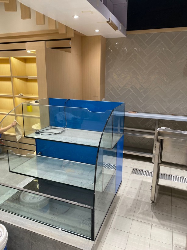 餐廳海鮮缸 — 食肆多層海鮮魚缸訂造安裝工程