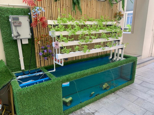 底濾魚缸訂造 - 底櫃過濾系統